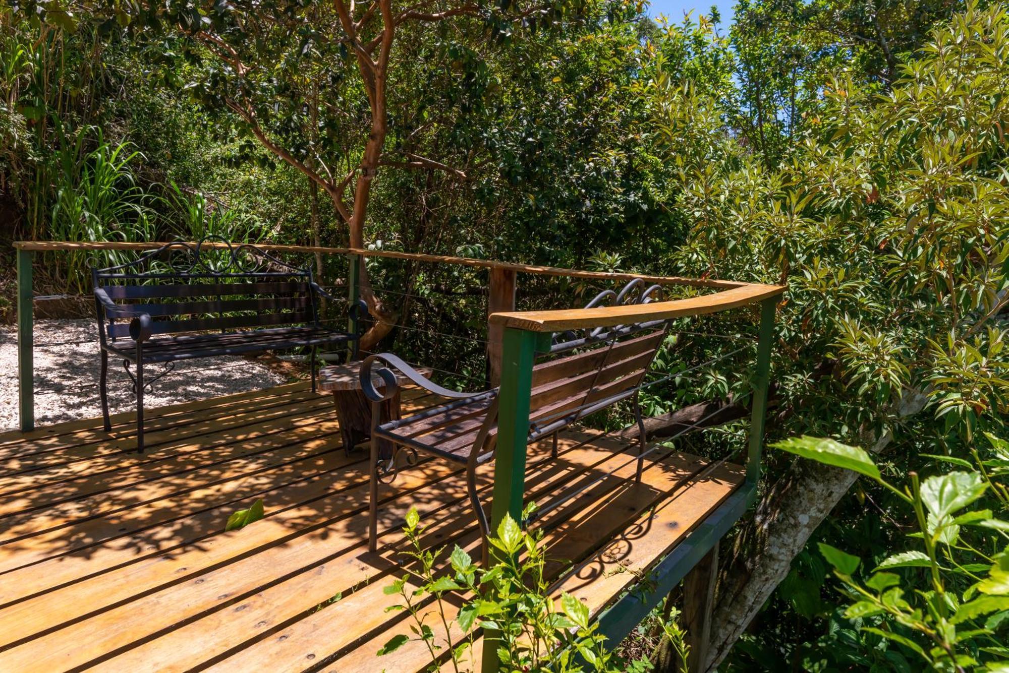 Cabinas Capulin & Farm Monteverde Ngoại thất bức ảnh